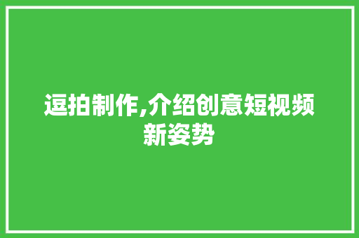 逗拍制作,介绍创意短视频新姿势 建站教程