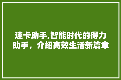 速卡助手,智能时代的得力助手，介绍高效生活新篇章 Web前端
