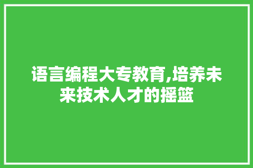 语言编程大专教育,培养未来技术人才的摇篮
