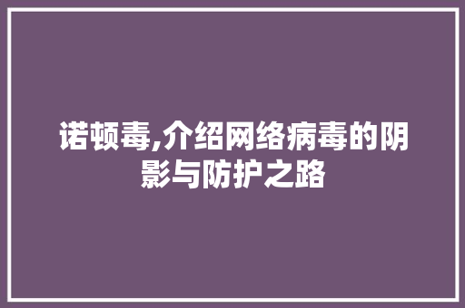 诺顿毒,介绍网络病毒的阴影与防护之路