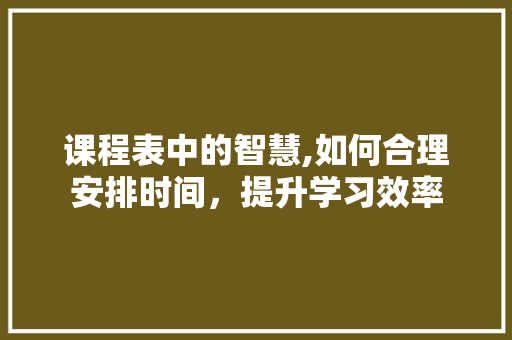 课程表中的智慧,如何合理安排时间，提升学习效率 Web前端