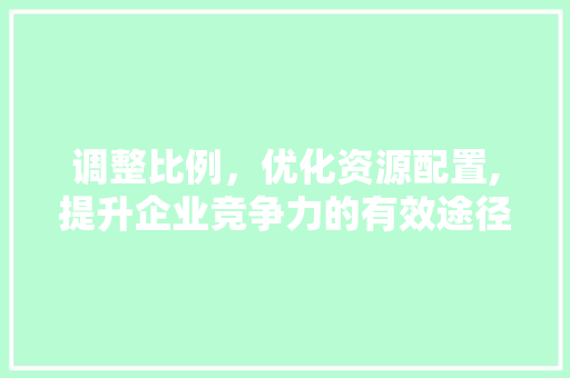 调整比例，优化资源配置,提升企业竞争力的有效途径 服务器/数据库