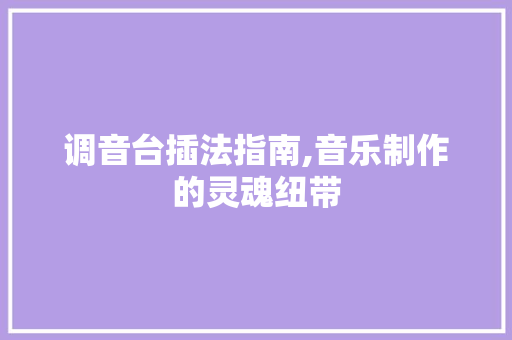 调音台插法指南,音乐制作的灵魂纽带 建站教程