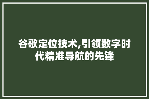 谷歌定位技术,引领数字时代精准导航的先锋