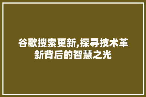 谷歌搜索更新,探寻技术革新背后的智慧之光