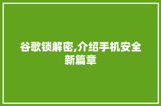 谷歌锁解密,介绍手机安全新篇章