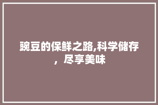 豌豆的保鲜之路,科学储存，尽享美味