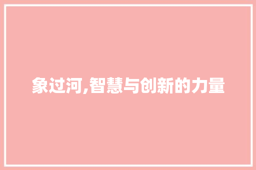 象过河,智慧与创新的力量 建站教程