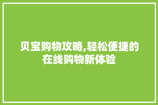 贝宝购物攻略,轻松便捷的在线购物新体验 WordPress教程