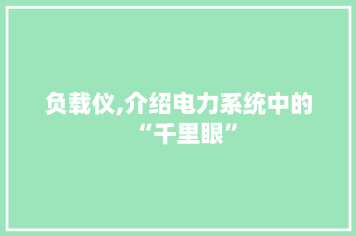 负载仪,介绍电力系统中的“千里眼” SEO教程