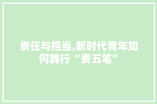 责任与担当,新时代青年如何践行“责五笔” Web前端