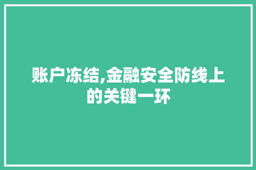 账户冻结,金融安全防线上的关键一环 SEO教程