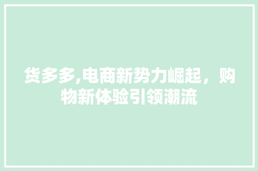 货多多,电商新势力崛起，购物新体验引领潮流 Web前端