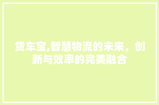货车宝,智慧物流的未来，创新与效率的完美融合
