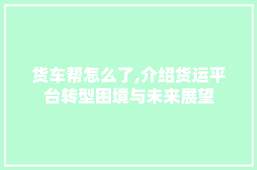 货车帮怎么了,介绍货运平台转型困境与未来展望