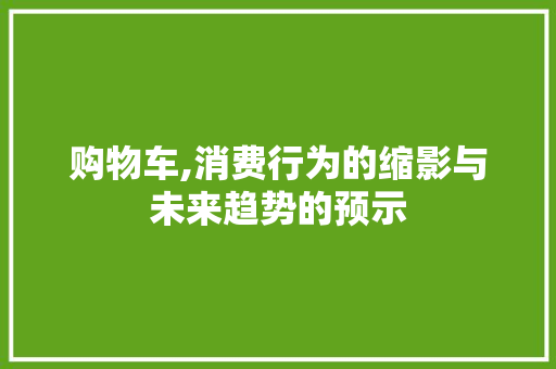 购物车,消费行为的缩影与未来趋势的预示