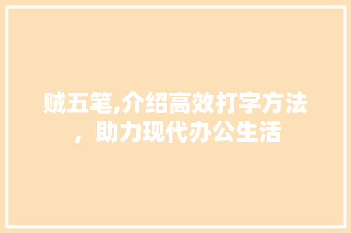 贼五笔,介绍高效打字方法，助力现代办公生活