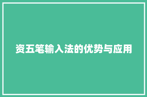 资五笔输入法的优势与应用