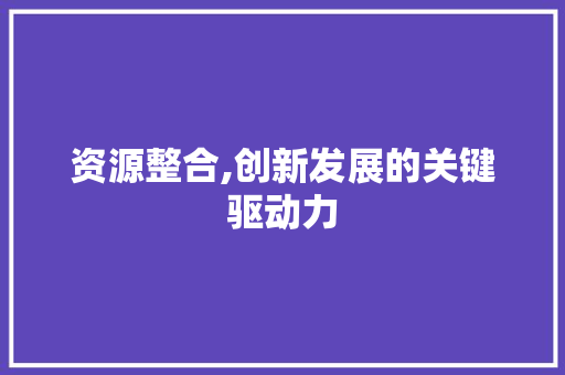 资源整合,创新发展的关键驱动力