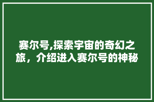 赛尔号,探索宇宙的奇幻之旅，介绍进入赛尔号的神秘通道