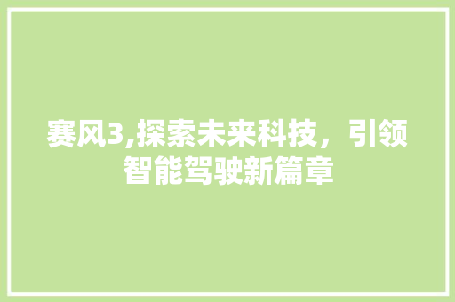 赛风3,探索未来科技，引领智能驾驶新篇章