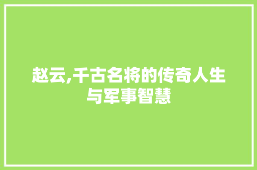 赵云,千古名将的传奇人生与军事智慧
