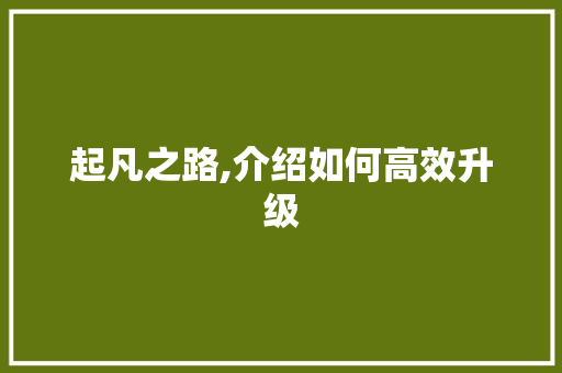 起凡之路,介绍如何高效升级