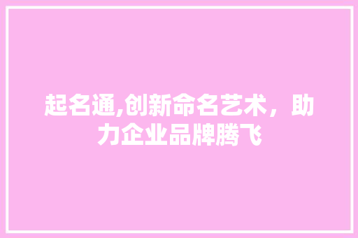 起名通,创新命名艺术，助力企业品牌腾飞