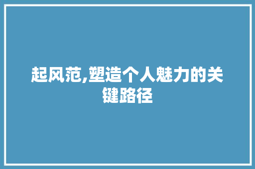 起风范,塑造个人魅力的关键路径