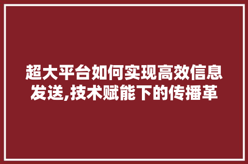 超大平台如何实现高效信息发送,技术赋能下的传播革命