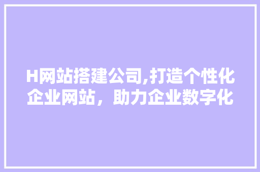 H网站搭建公司,打造个性化企业网站，助力企业数字化转型