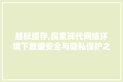 越狱缓存,探索现代网络环境下数据安全与隐私保护之路 服务器/数据库