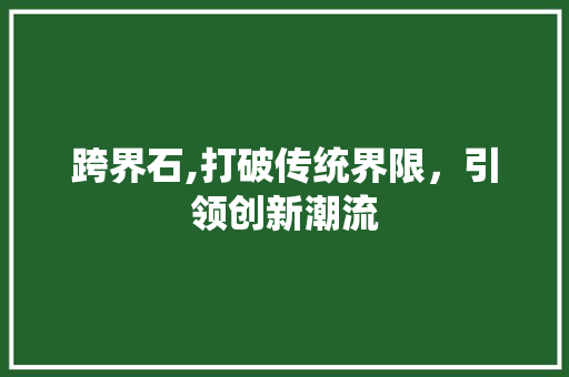 跨界石,打破传统界限，引领创新潮流