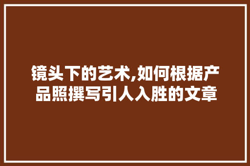 镜头下的艺术,如何根据产品照撰写引人入胜的文章 建站教程