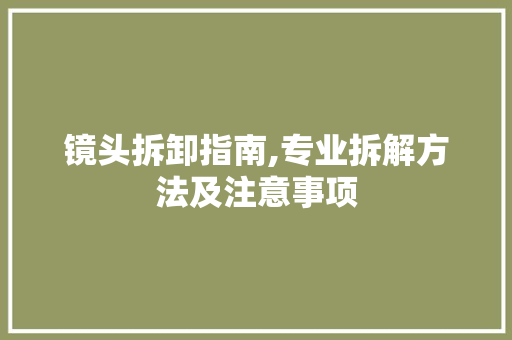 镜头拆卸指南,专业拆解方法及注意事项 友链在线