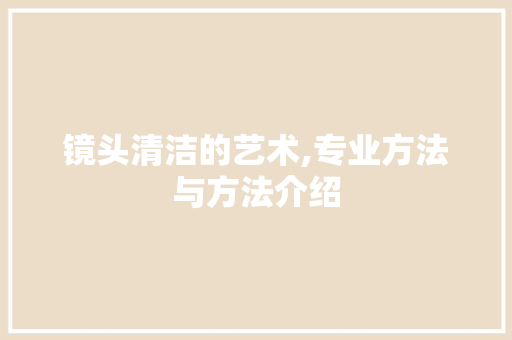 镜头清洁的艺术,专业方法与方法介绍