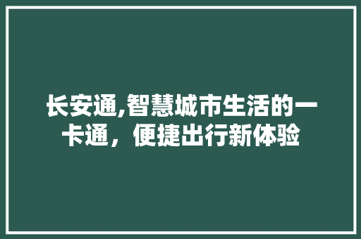 长安通,智慧城市生活的一卡通，便捷出行新体验 Web前端
