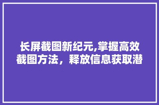长屏截图新纪元,掌握高效截图方法，释放信息获取潜能
