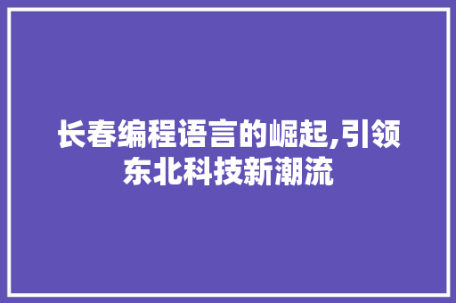长春编程语言的崛起,引领东北科技新潮流