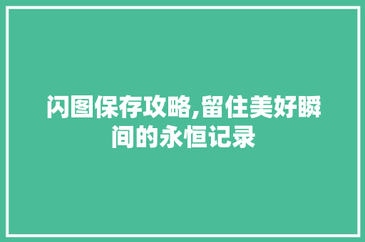 闪图保存攻略,留住美好瞬间的永恒记录