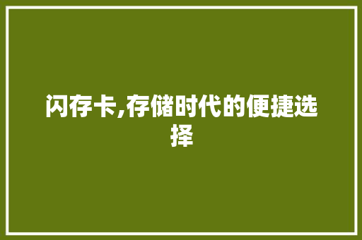 闪存卡,存储时代的便捷选择