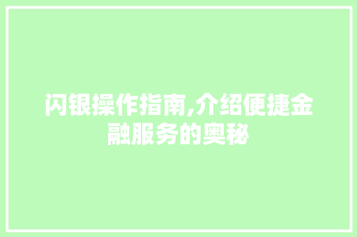 闪银操作指南,介绍便捷金融服务的奥秘