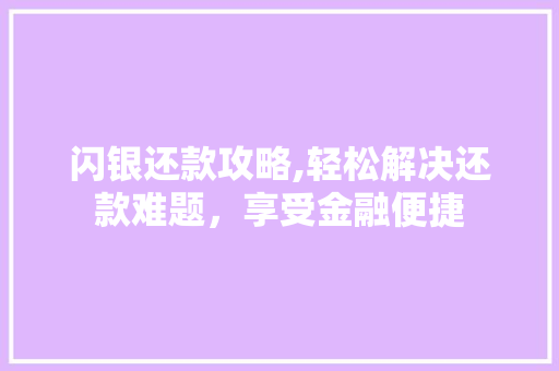 闪银还款攻略,轻松解决还款难题，享受金融便捷