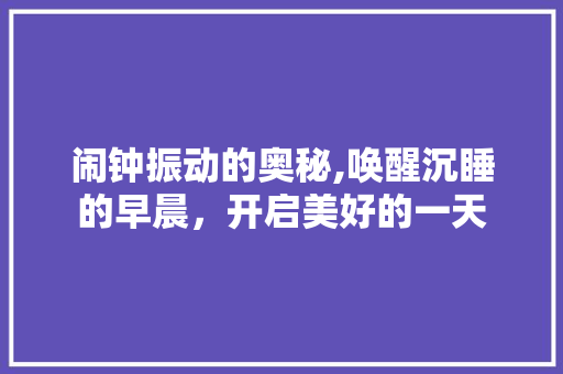 闹钟振动的奥秘,唤醒沉睡的早晨，开启美好的一天