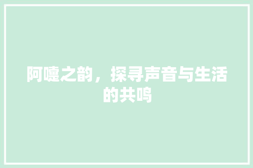 阿嚏之韵，探寻声音与生活的共鸣