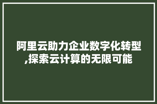 阿里云助力企业数字化转型,探索云计算的无限可能
