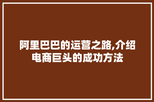 阿里巴巴的运营之路,介绍电商巨头的成功方法 Web前端