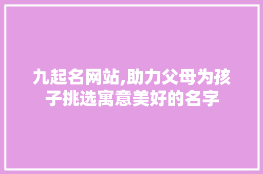 九起名网站,助力父母为孩子挑选寓意美好的名字