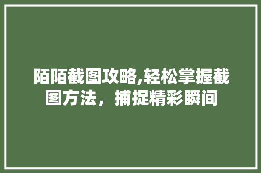 陌陌截图攻略,轻松掌握截图方法，捕捉精彩瞬间