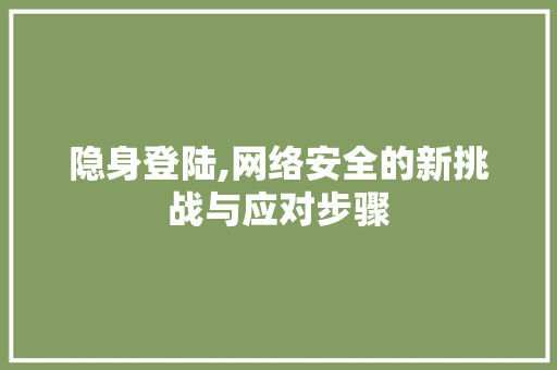 隐身登陆,网络安全的新挑战与应对步骤